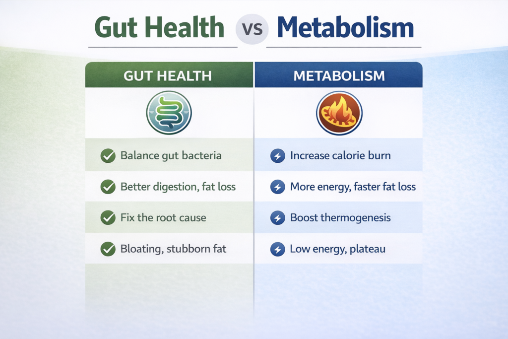 Gut health vs Metabolism